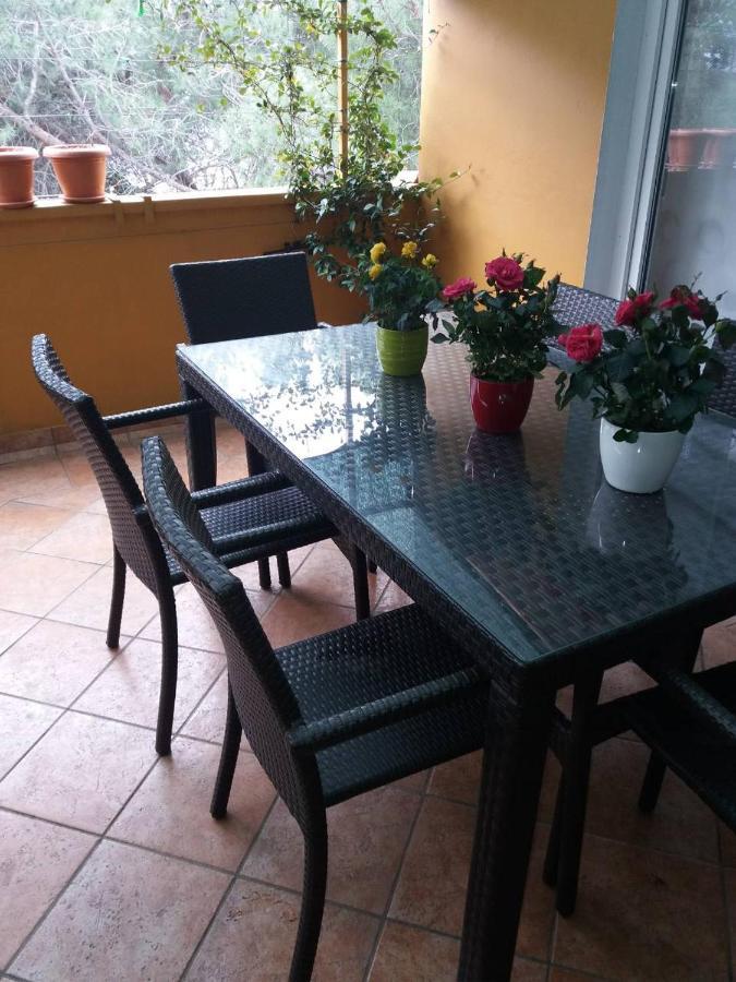 זאדאר Apartman Lucica מראה חיצוני תמונה