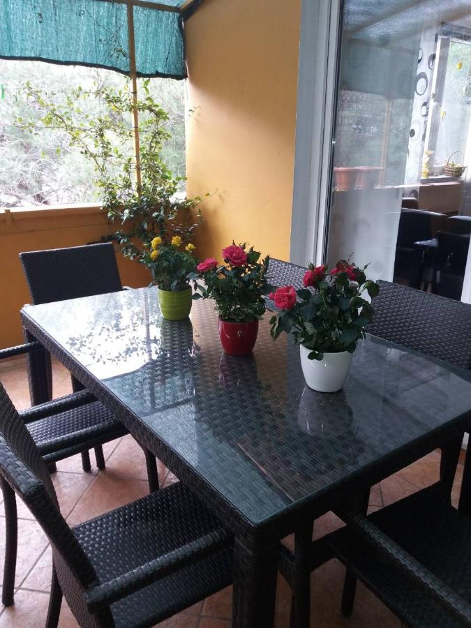 זאדאר Apartman Lucica מראה חיצוני תמונה